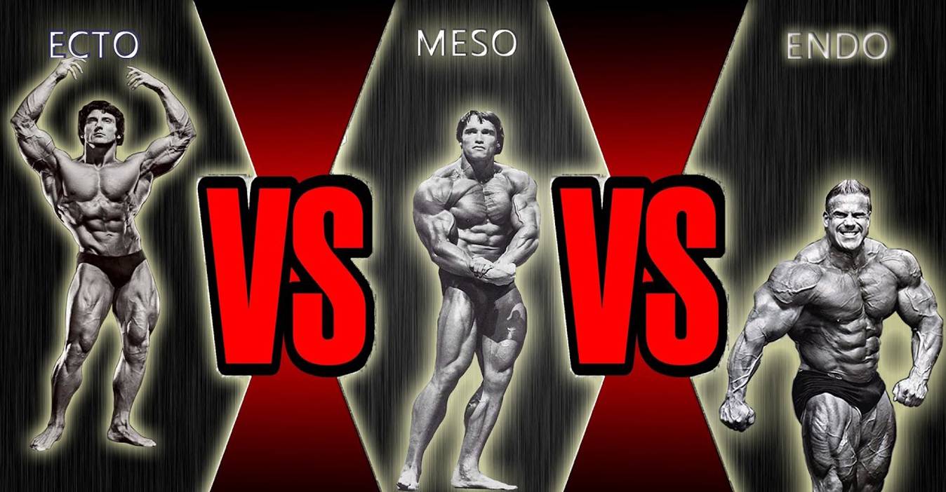 HƏR TİP BƏDƏN QURULUŞU ÜÇÜN MƏŞQ PROQRAMLARI