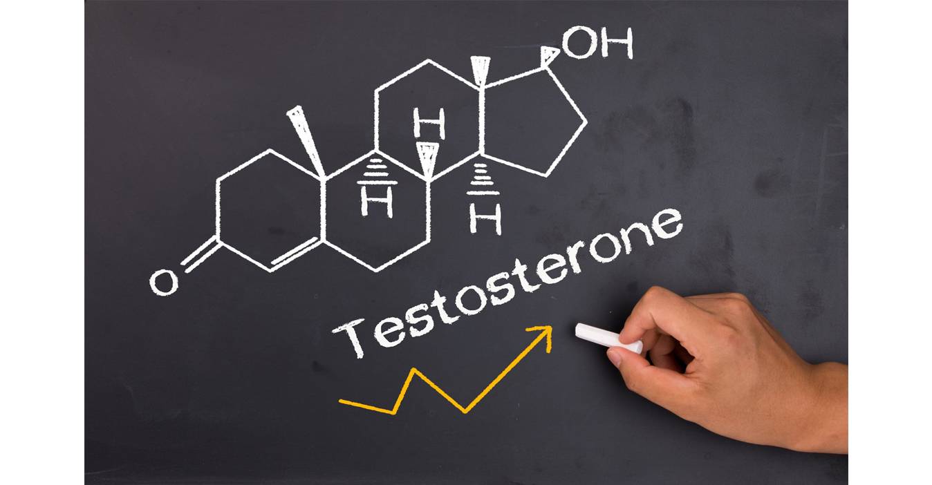 Testosteronu gücləndirən təbii vasitələr